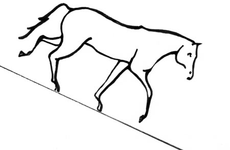 450x293 if only we had x ray vision a closer look at how the horse