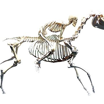 360x360 skeleton man and horse lightweight sweatshirt