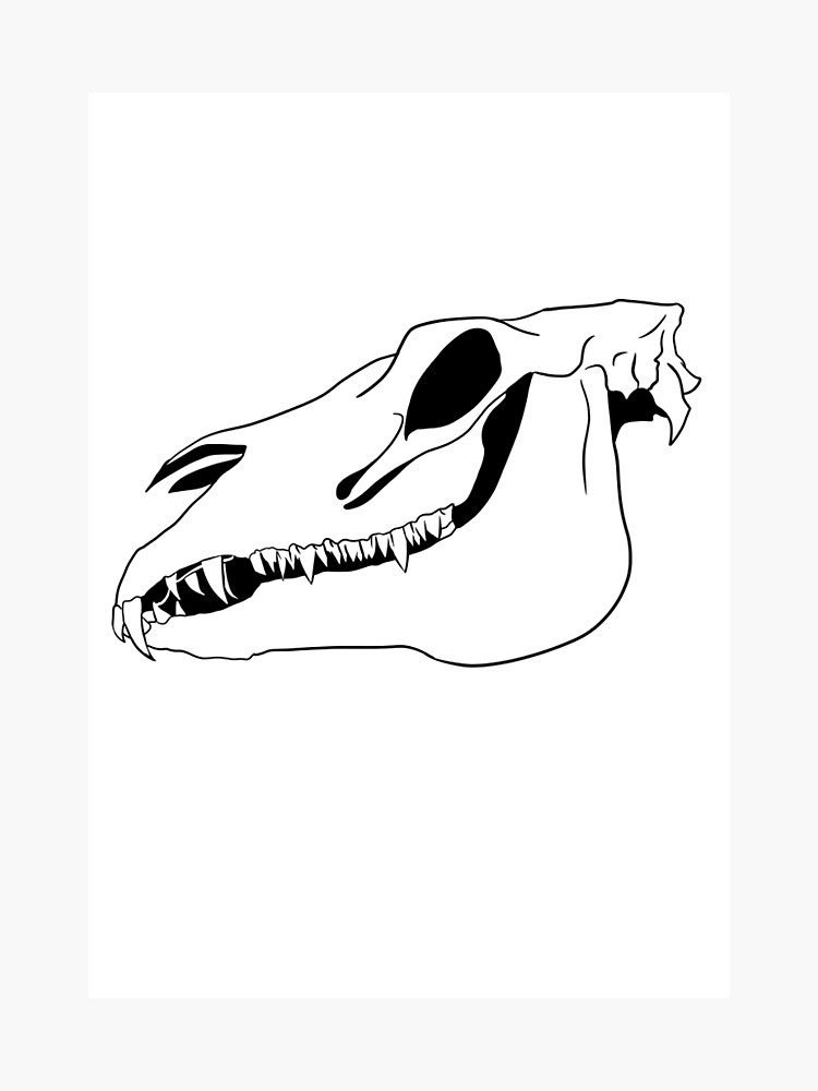 750x1000 Horse Skull Outline Photographic Print