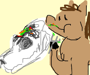 300x250 mysterious cow