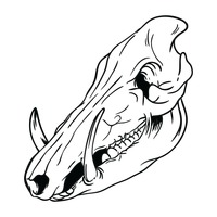 200x200 Animal Animals Zodiac Zodiacs Chinese Asia Asian Drawing Drawings