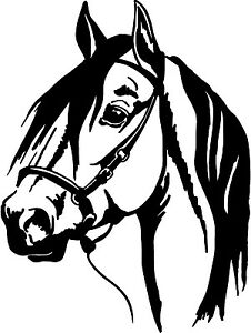 226x300 Horse Head Show Tall Decal Horses Sticker Car Truck Trailer