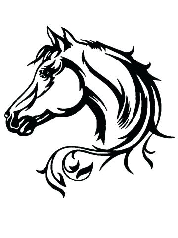 360x480 Horse Head Bumper Shadow To Trailer In Oh Josdamet