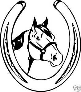 263x300 Quarter Horse Head Shoe Equestrian Trailer Decal Ebay