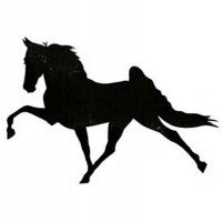 201x200 drawing of tennessee walker walking horse decal, tennessee