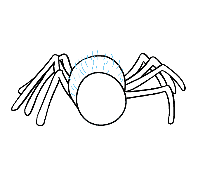 678x600 Crabs Drawing Simple Transparent Png Clipart Free Download