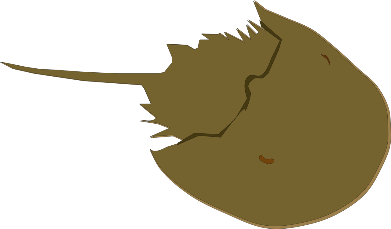 1280x750 Horseshoe Crab Drawing Animal Cc0