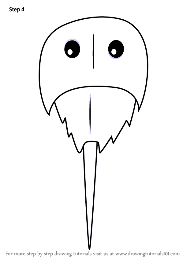 598x844 How To Draw A Horseshoe Anexa Tutorial