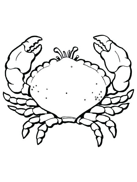 450x600 Crab Coloring Sheet