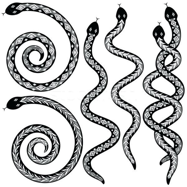 600x600 how to draw a serpent how to draw a realistic snake step
