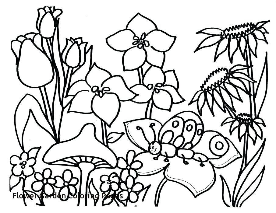 906x700 Horton Hatches The Egg Coloring Pages Coloring Pages Hatches