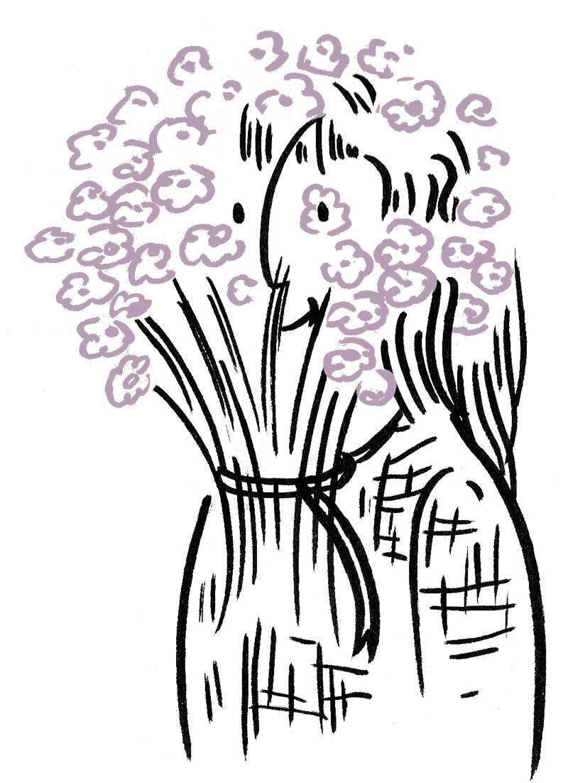 800x1102 Studio Anna Hazod