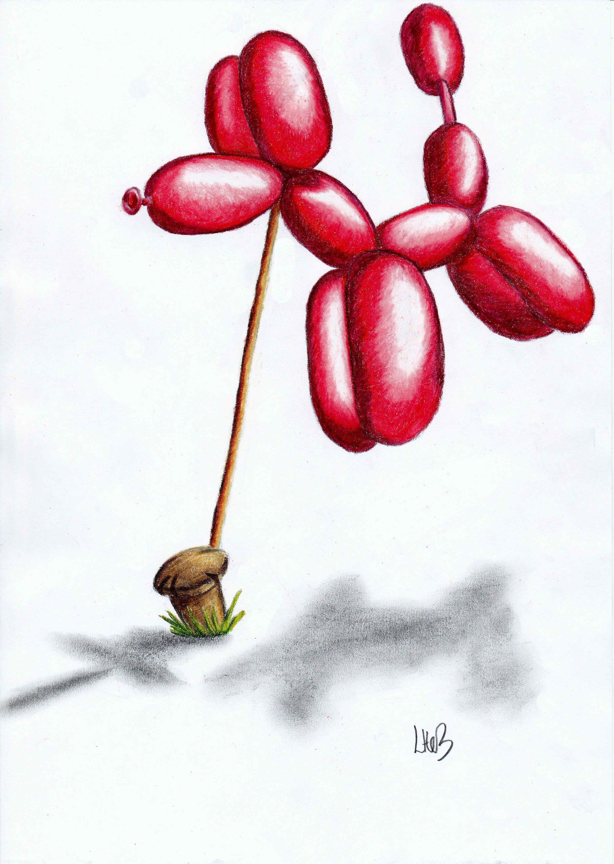 2484x3496 Balloon Dog' Colour Pencil Drawing On Copy Paper Watch The Step