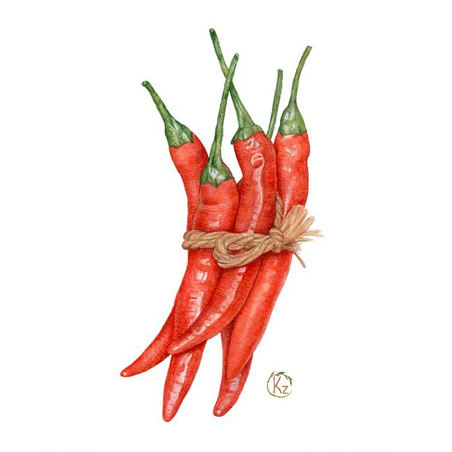 650x650 Fruits And Vegetables Watercolor Illustrations Chile Pepper