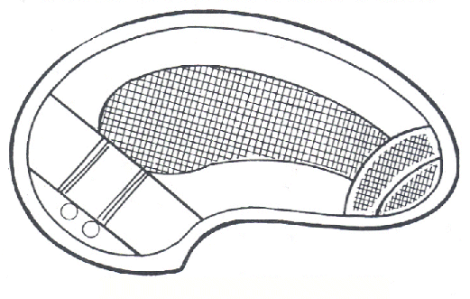 521x331 Kidney Hot Tub Hot Tubs Spa Manufacturers Inc
