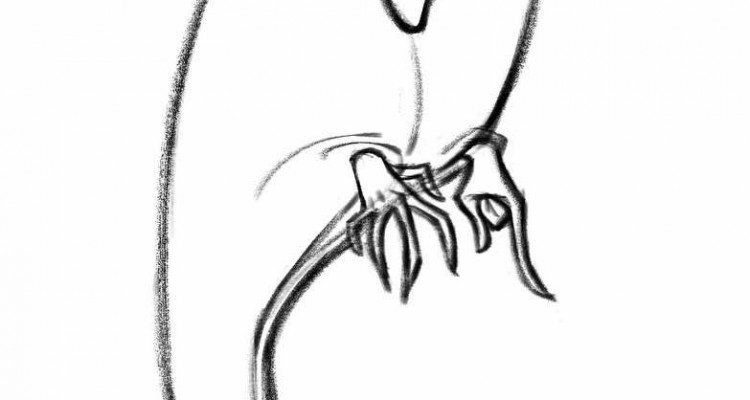 750x400 Hotel Transylvania