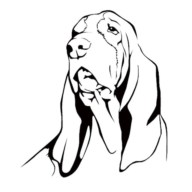 Hound Dog Drawing