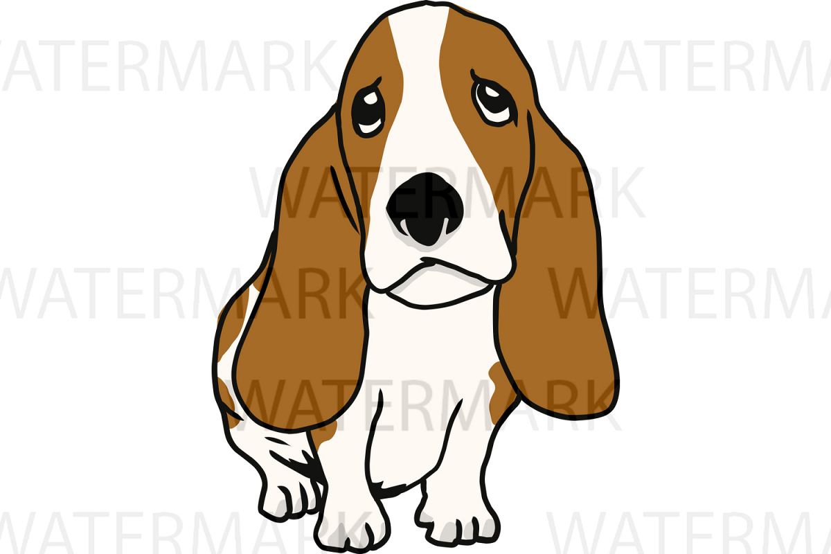 1200x800 Cute Dogs C Basset Hound