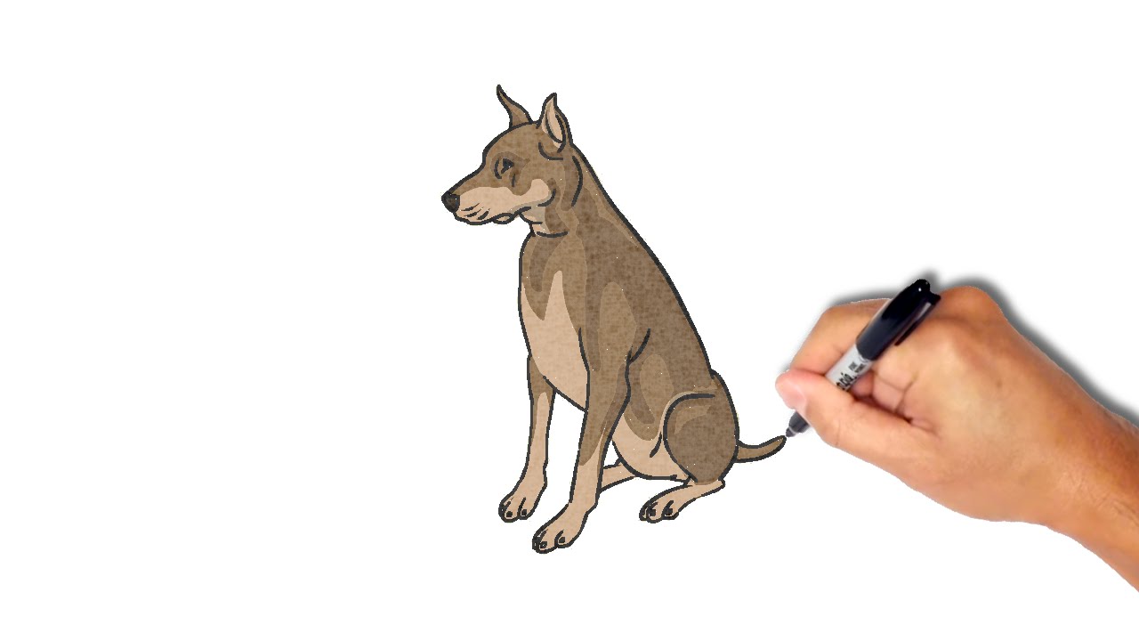 1280x720 How To Draw And Paint A Hound