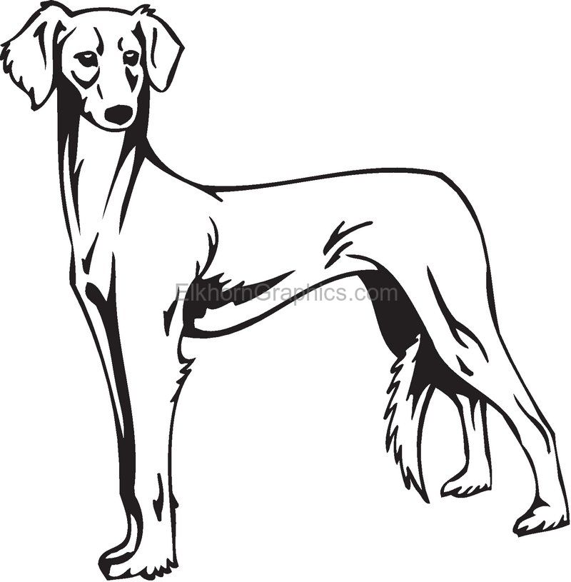 800x815 Mudhol Hound Dog Sticker