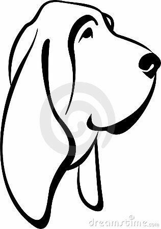 316x450 bassett hounds hound dog, dog nose print
