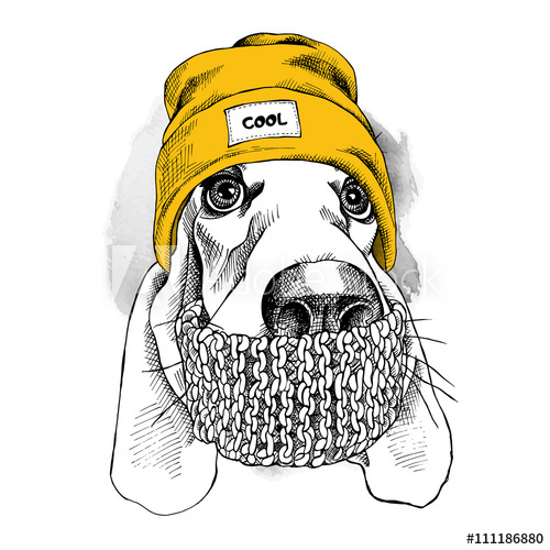 500x500 Portrait Of Basset Hound Dog In A Hipster Hat And With Scarf