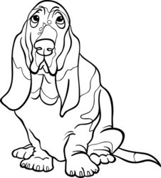 226x250 Basset Hound Dog Cartoon For Coloring Book Stock Vector