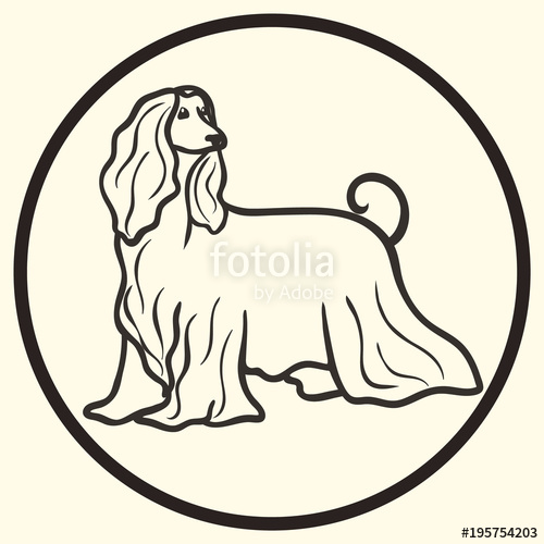 500x500 afghan hound dog breed vector silhouette sign, symbol doggy