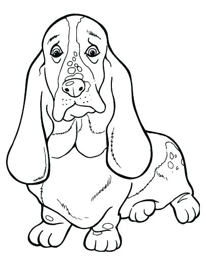405x525 Basset Hound Dog Coloring Pages