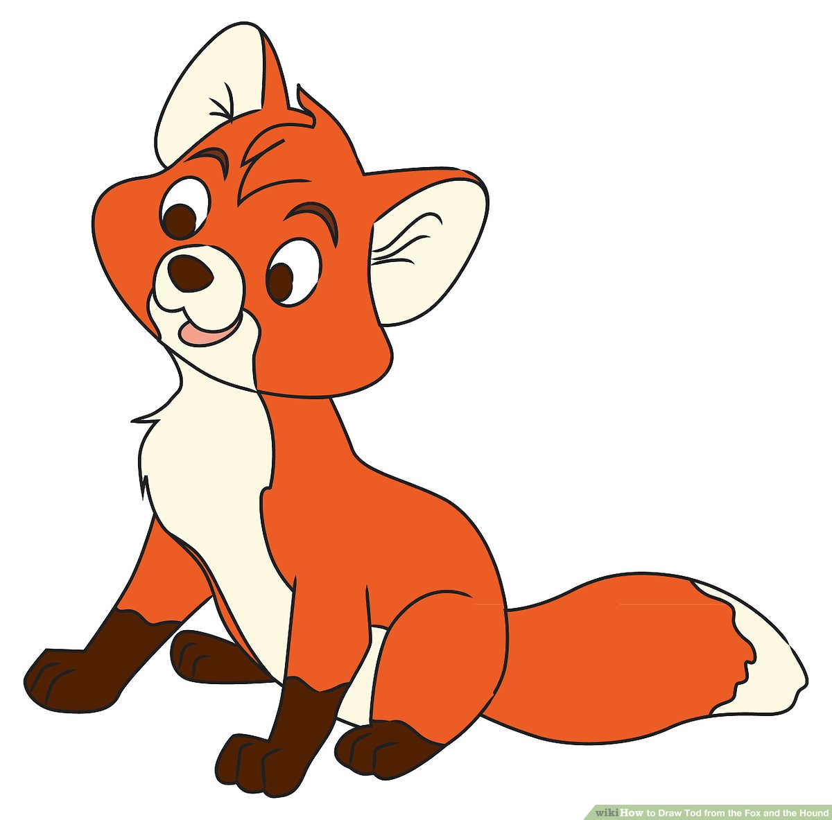 1200x1183 How To Draw Tod From The Fox And The Hound Steps