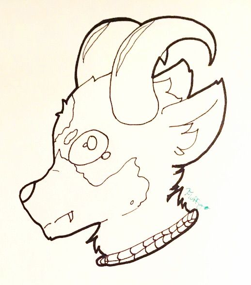 518x588 Pet Pokemon Amino