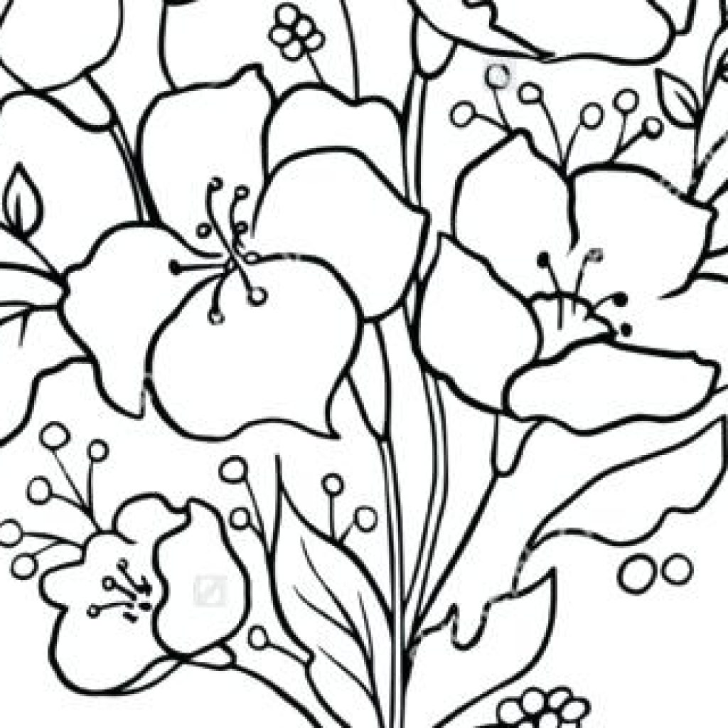 1024x1024 Flower Outline Drawing Fire Clipart House Clipart Online Download