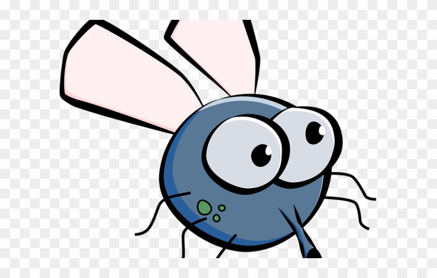 880x560 Cartoon Picture Of A Fly
