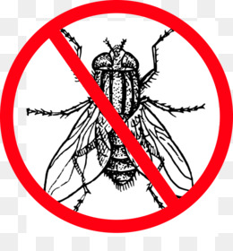 260x280 Housefly Png And Housefly Transparent Clipart Free Download