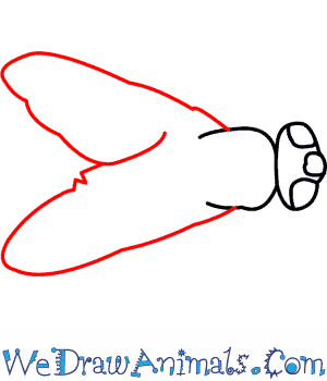300x350 How To Draw A House Fly