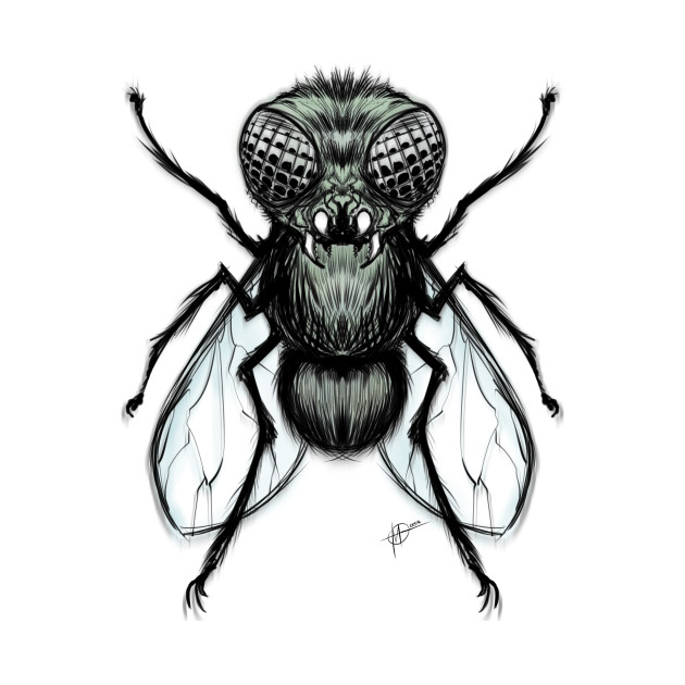 630x630 A Cute Housefly