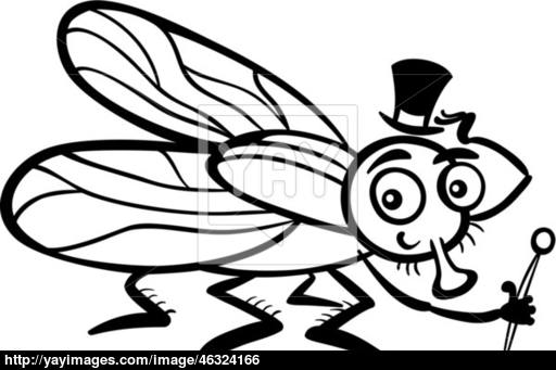 512x341 Housefly Cartoon For Coloring Book Vector