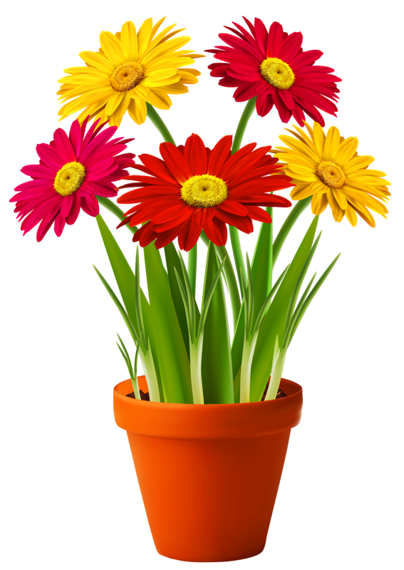 567x800 Flower Pot Drawing Pictures And Cliparts, Download Free