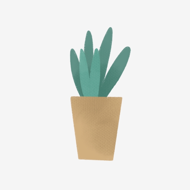 640x640 Hand Drawn Cute House Plant, Drawing, Nature, Hand Drawn Png