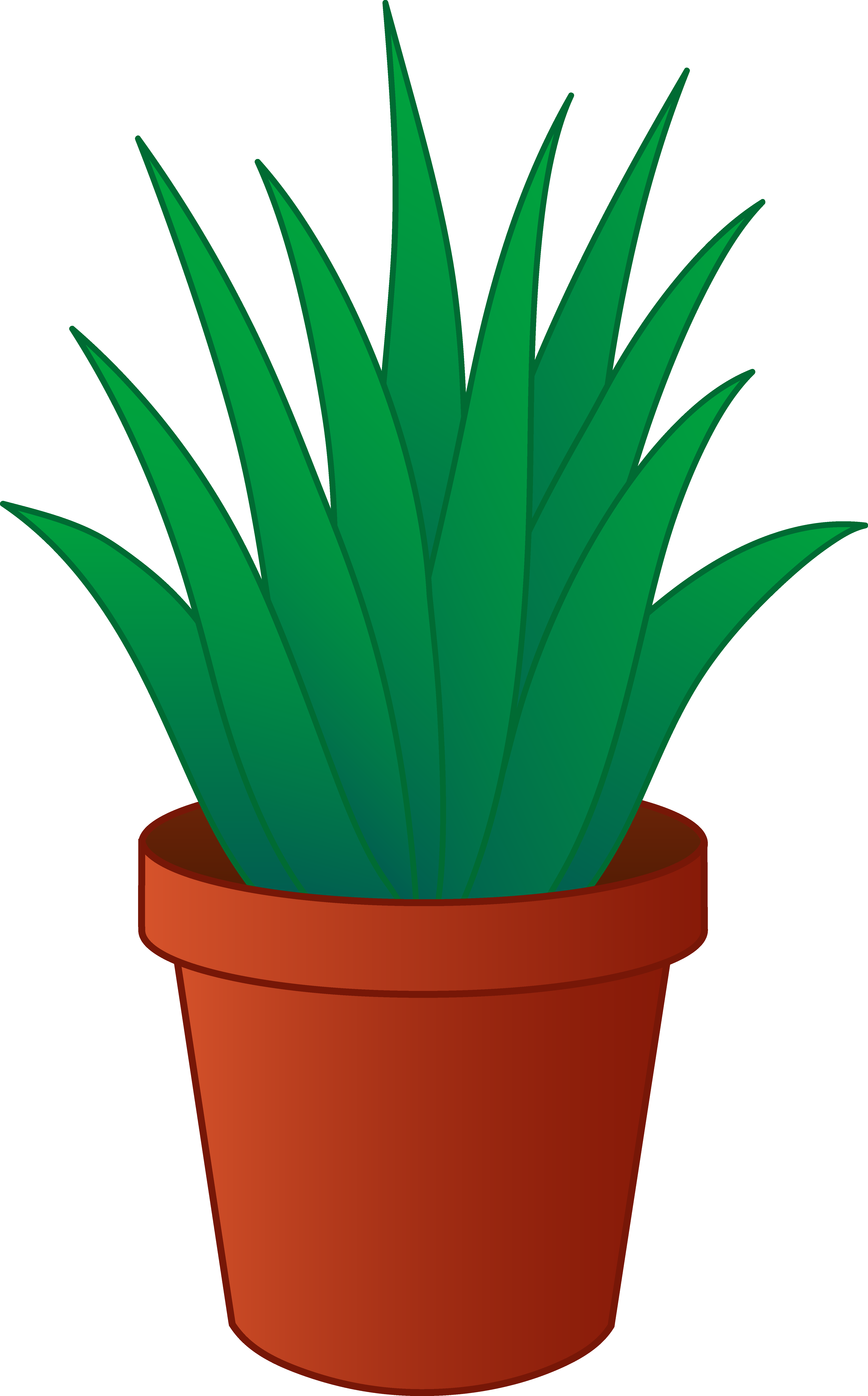 4752x7640 Aloe Drawing Yucca Transparent Png Clipart Free Download
