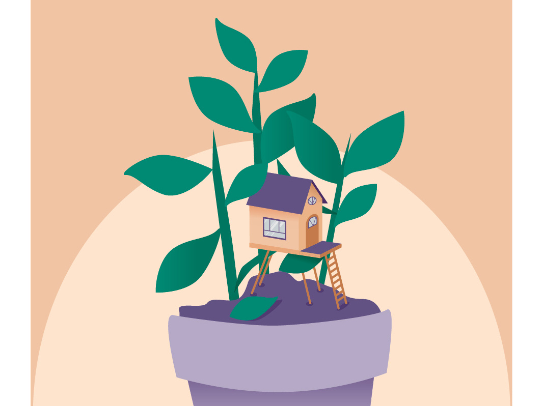 1064x798 House Plant House