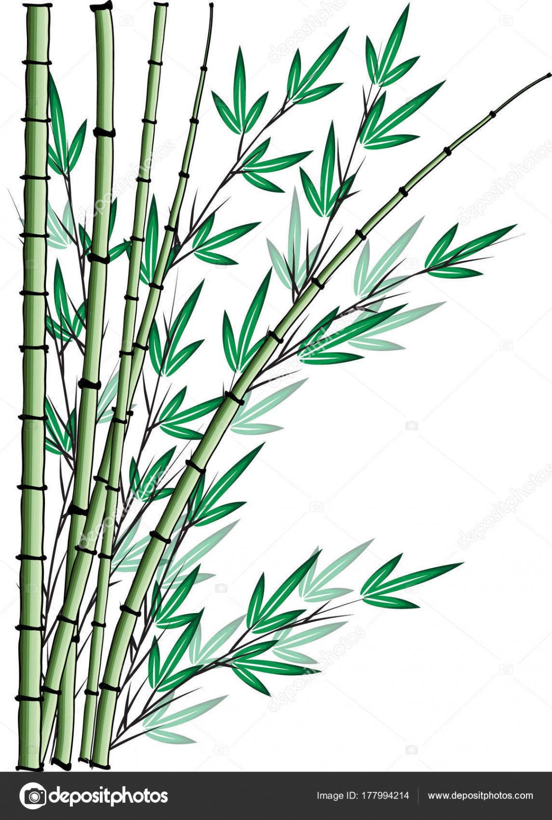 1084x1609 Bamboo Drawing House Tablet Pen Doesnt Work Cute Branch Cost