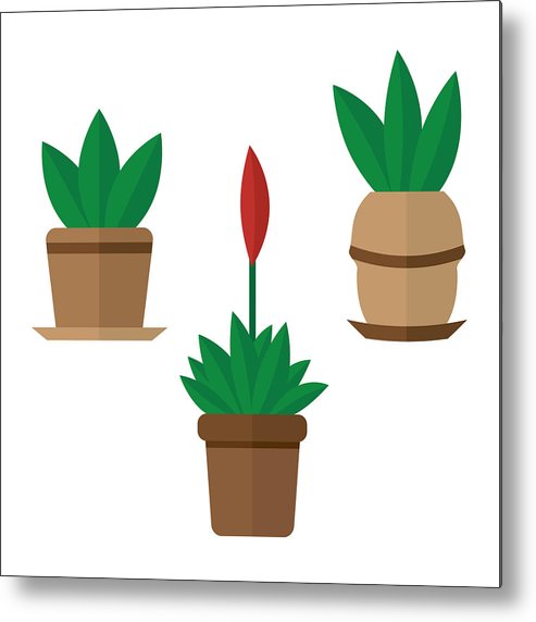 493x572 Plant In Pot, Flower, Flaming Sword Plant Exotic Houseplant Vector