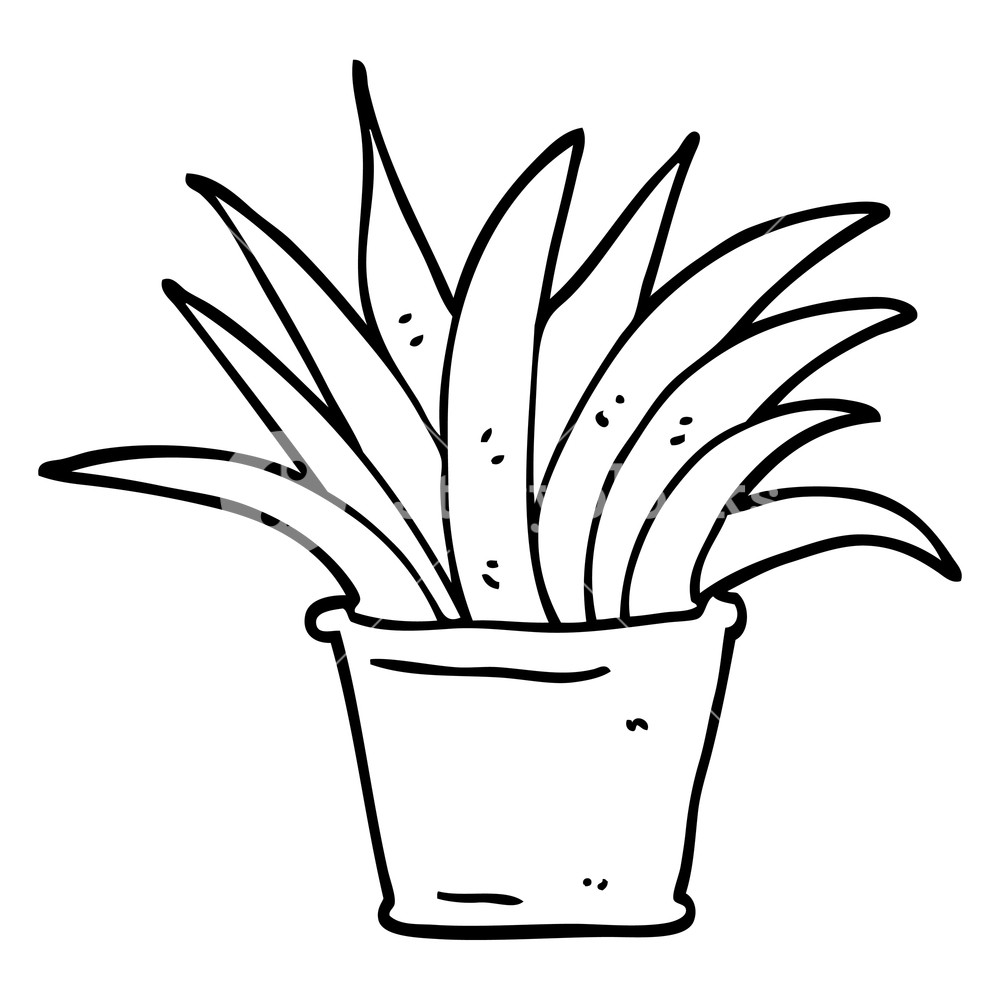 1000x1000 Black And White Cartoon House Plant Royalty Free Stock Image