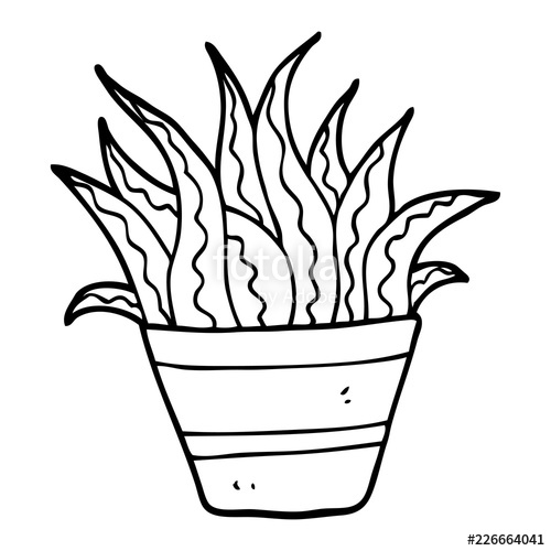 500x500 Line Drawing Cartoon Indoor Plant Stock Image And Royalty Free