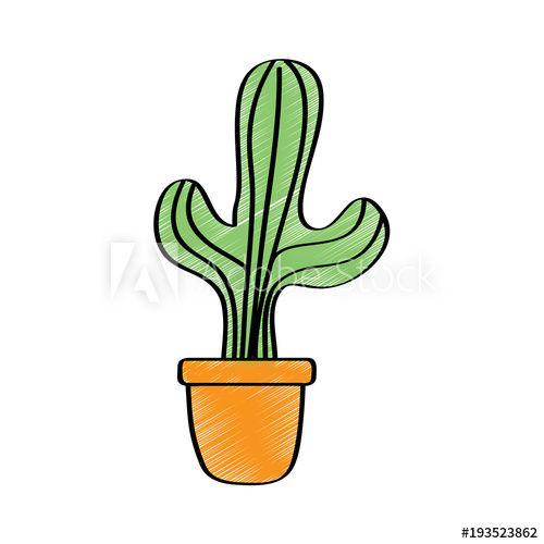 500x500 potted cactus house plant prickly decoration vector illustration