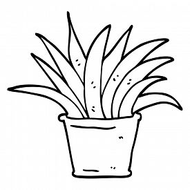 275x275 Cartoon Plants Photos And Images