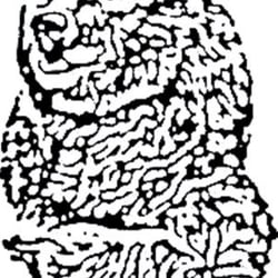 250x250 Behrens Moving Storage