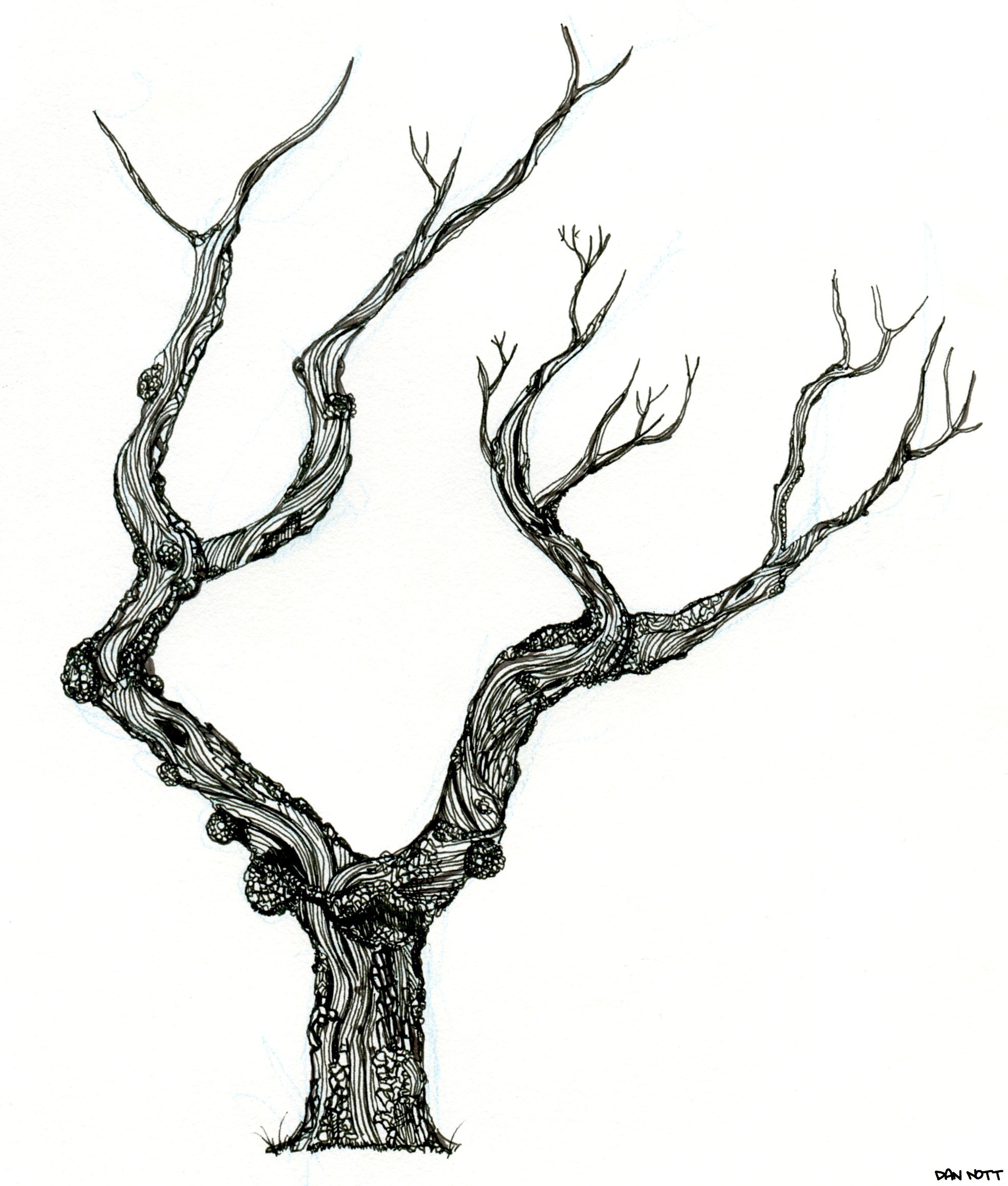 1972x2321 Drawing Dan Nott