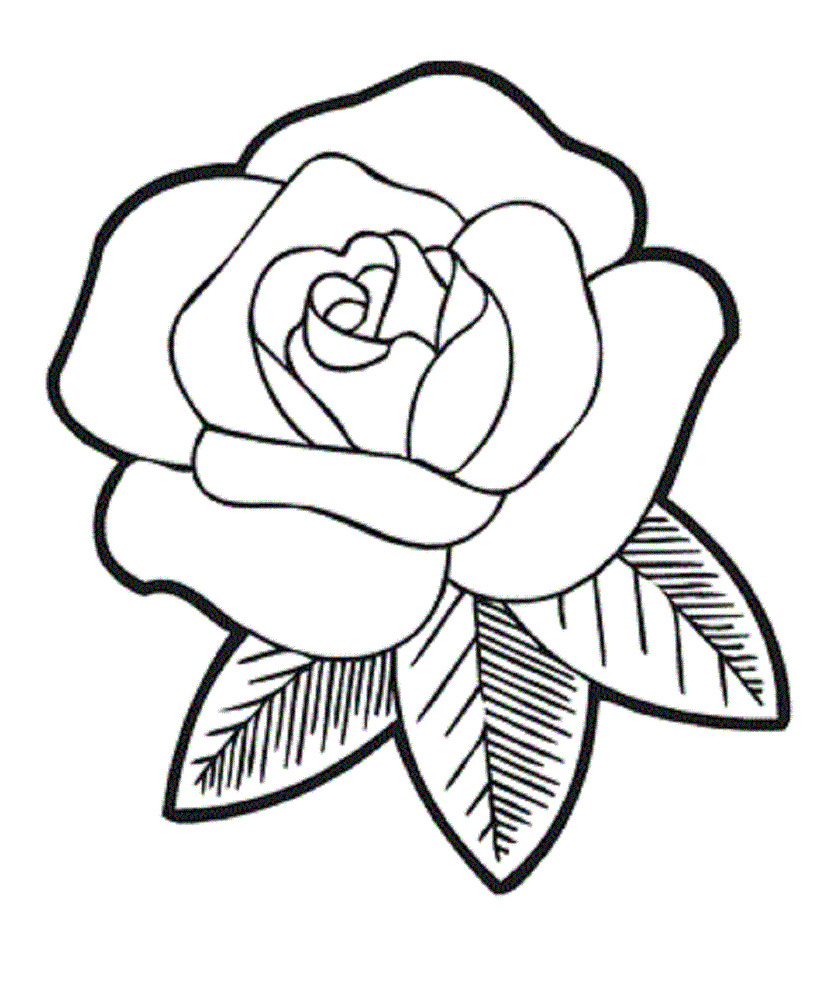 837x992 Huge Collection Of 'roses For Kids Drawing' Download More Than
